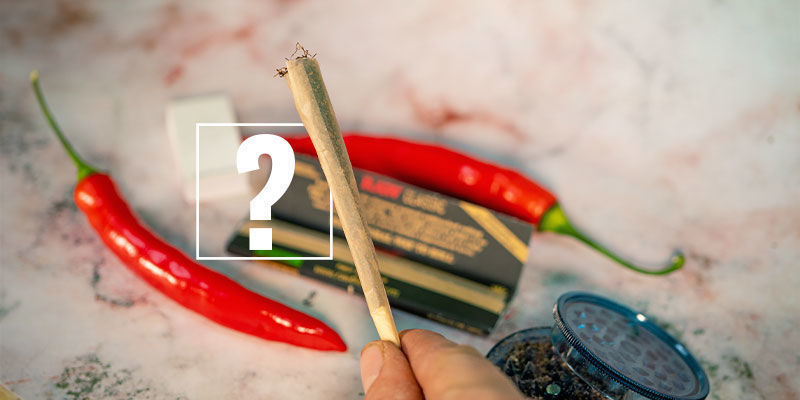 Stærke chilipebre og cannabis: Det perfekte match? Hot Peppers and Cannabis: The Perfect Match?