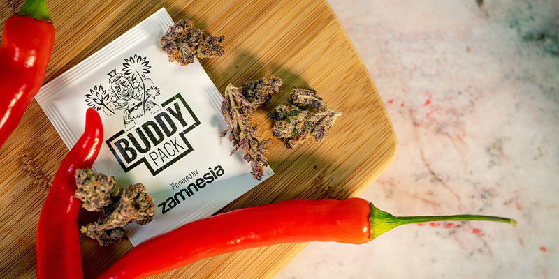 Sådan bruger du chili til ledsagerplantning med cannabis Sådan bruger du chili til ledsagerplantning med cannabis