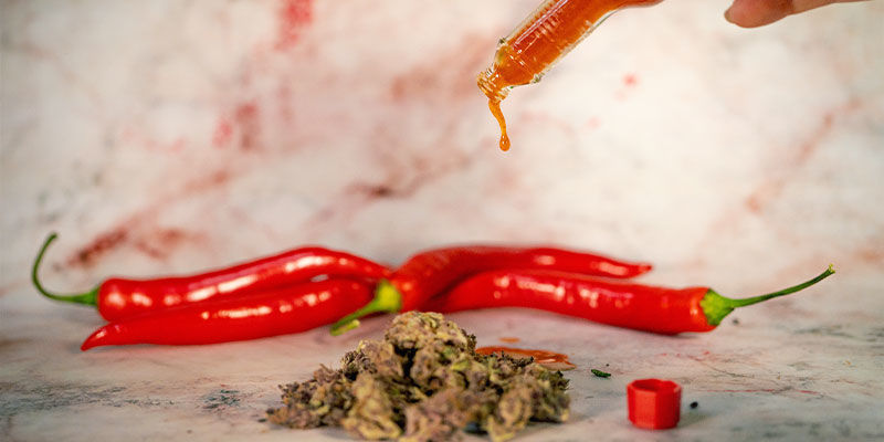 Sådan kombinerer du stærke chilier med cannabis i mad Sådan kombinerer du stærke chilier med cannabis i mad