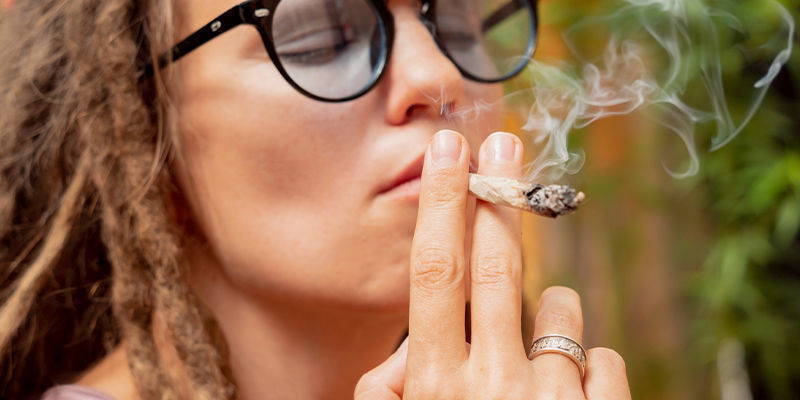 Ryger cannabis Ryger cannabis