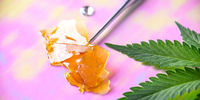 Faktorer, der kan påvirke cannabis’ psykoaktive styrke Factors that can influence cannabis’ psychoactive intensity