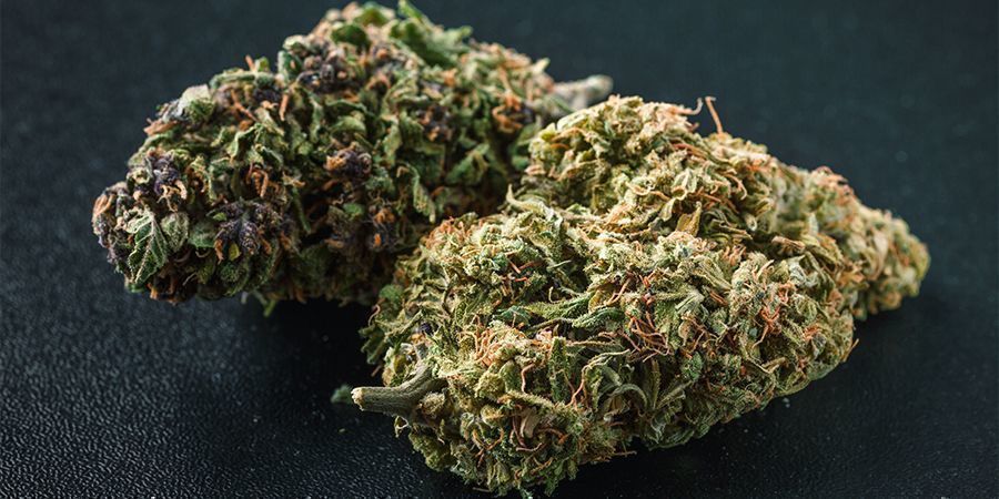 Hvilke farver kan cannabis have? Hvilke farver kan cannabis have?