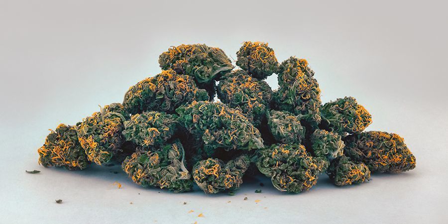 Gul/orange (karotenoider) Gul/orange (karotenoider) cannabisblomster