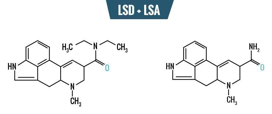 LSD vs. LSA - Forskellen