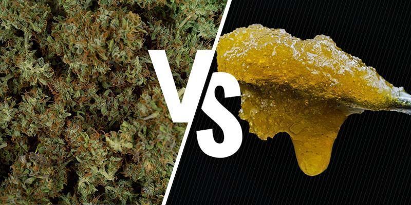 Urter vs. koncentrater: en note om styrke Urter vs. koncentrater: en note om styrke