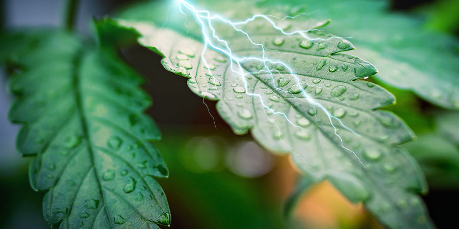 Fugtighed og høje temperaturer Humidity And High Temperatures