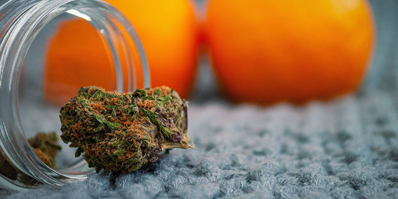 Har du cannabis, men ingen måde at ryge det på? Bare rolig! Har du cannabis, men ingen måde at ryge det på? Bare rolig!