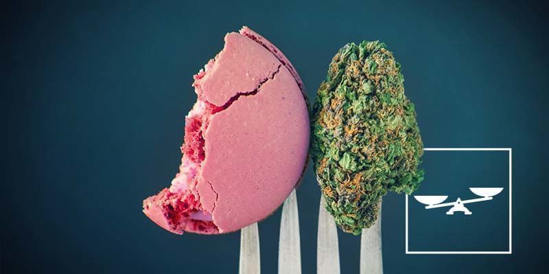 Sværere at holde styr på indtaget Cannabis-spiselige: Sværere at holde styr på indtaget