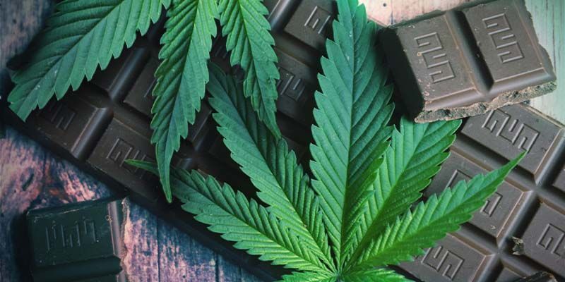 Grundlæggende om cannabis-edibles Grundlæggende om cannabis-edibles