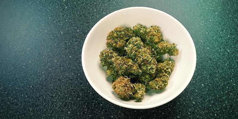 Genfugt dine cannabisblomster: mellemlang sigt (dage)