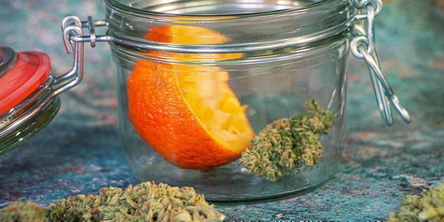 Appelsinskræller Genopfrisk dine cannabisblomster: appelsinskræller