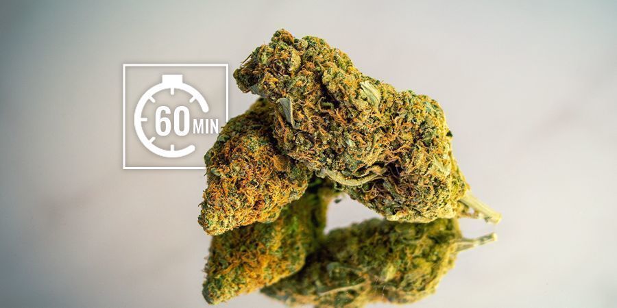 Kort sigt (timer) Genfugt dine cannabisblomster: Kort sigt (timer)