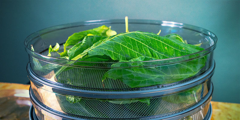 Maddehydrator FOOD DEHYDRATOR