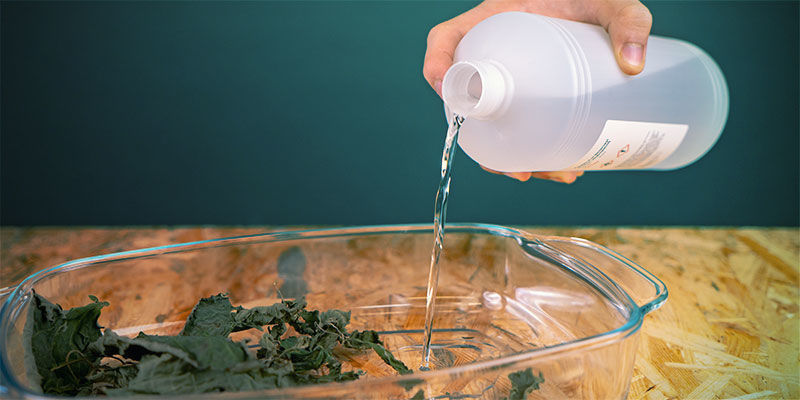 At lave et salvia-ekstrakt MAKING A SALVIA EXTRACT