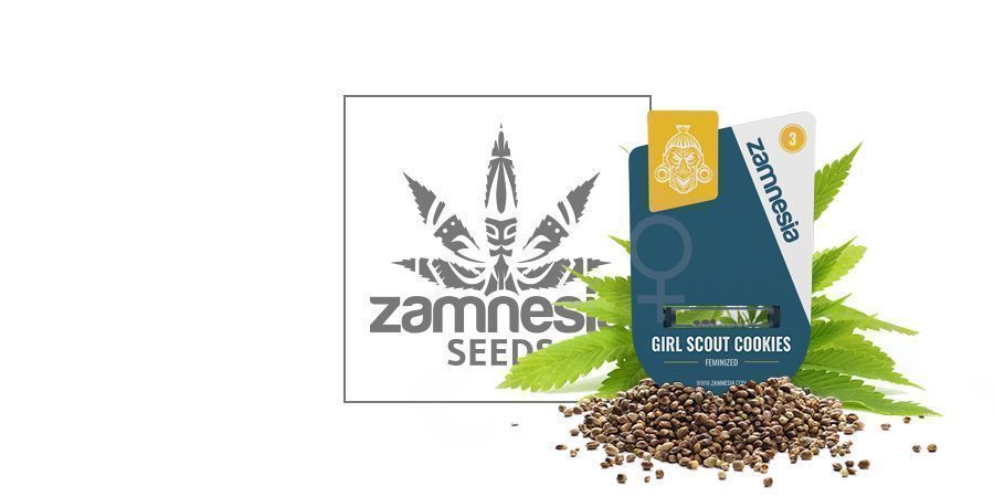 Girl Scout Cookies (Zamnesia Seeds) Girl Scout Cookies (Zamnesia Seeds)