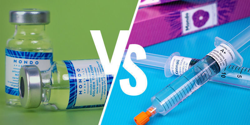 Sporehætteglas vs sporesprøjte Spore vial vs spore syringe