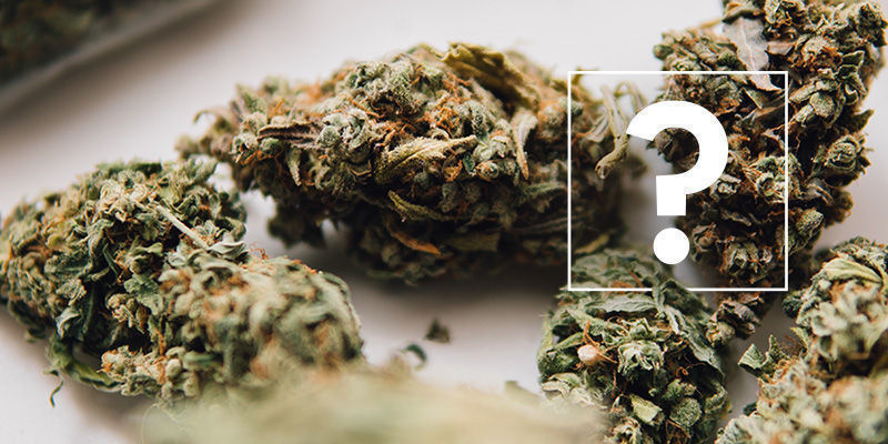 Entourage-effekten: FAQ Entourage-effekten: FAQ