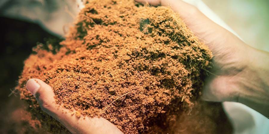 FORBEREDELSE AF COCO TIL GENBRUG