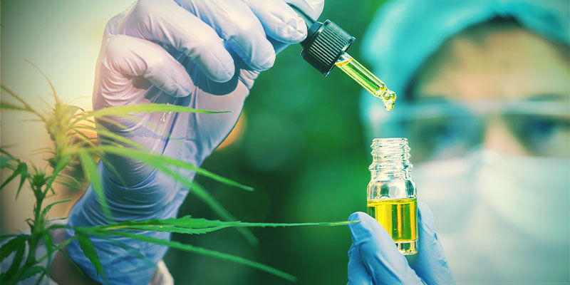 Premiumkvalitet CBD i premiumkvalitet