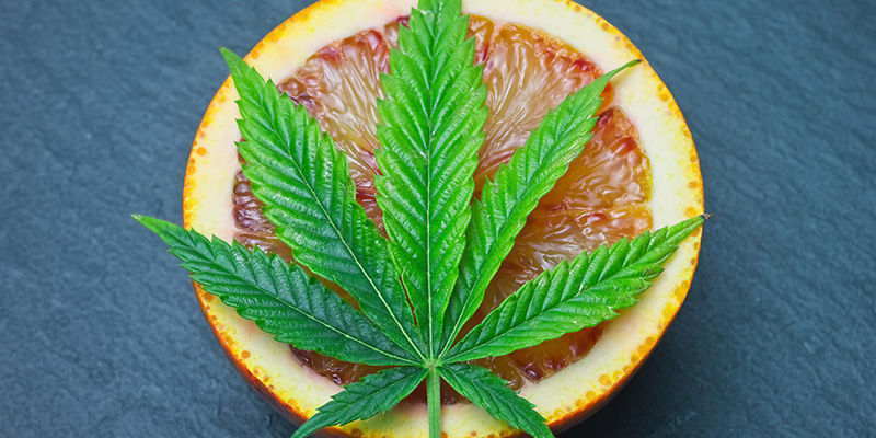 Sådan gør du dit tørre brick weed luftigt igen HOW TO FLUFF UP YOUR STALE BRICK WEED