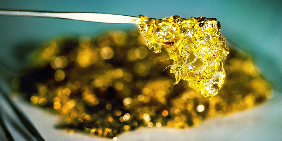Sådan laver du BHO af cannabis