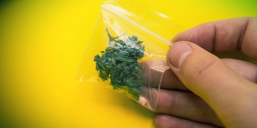 Tips til at skjule weedlugten i offentligheden Tips til at skjule weedlugten i offentligheden