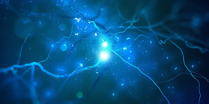 Cannabinoid-receptorer Cannabinoid-receptorer