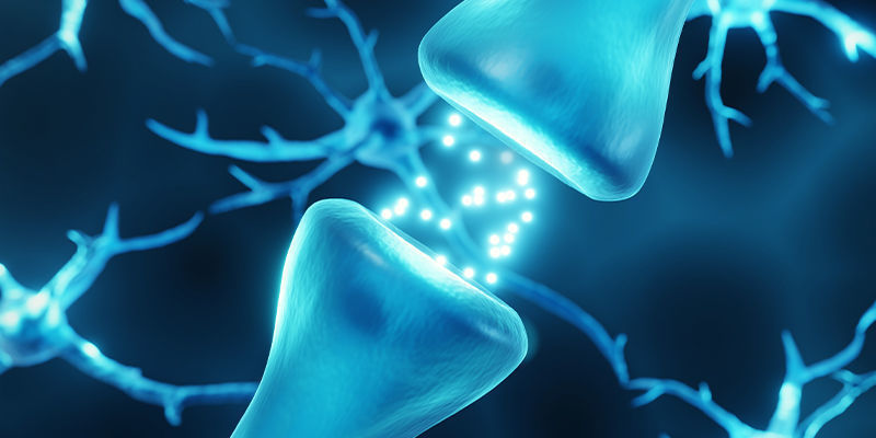 Endocannabinoider Endocannabinoids