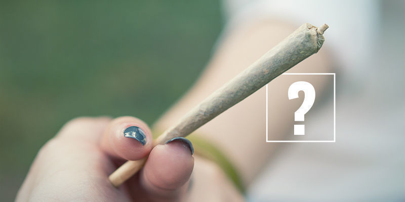 Bør du være bekymret for klinisk endocannabinoid-mangel? Bør du være bekymret for klinisk endocannabinoid-mangel?