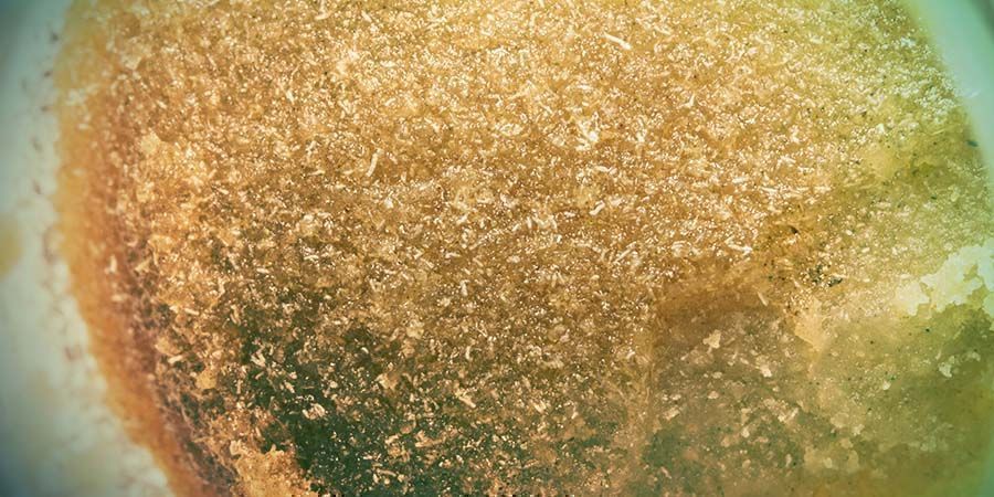 Cannabisekstrakt: Iceolator – full-melt Bubble Hash
