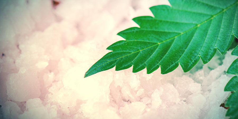 Cannabisekstrakt: CBD-krystaller