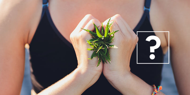 Weed og vægttab: Virker det virkelig? Weed og vægttab: Virker det virkelig?