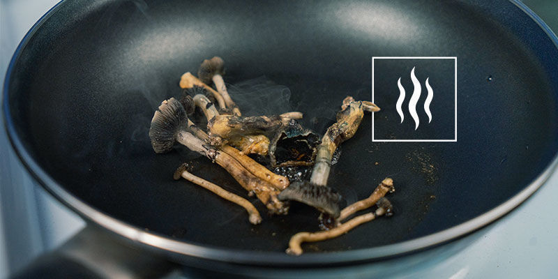 Varme, psilocybin og styrke Varme, psilocybin og styrke