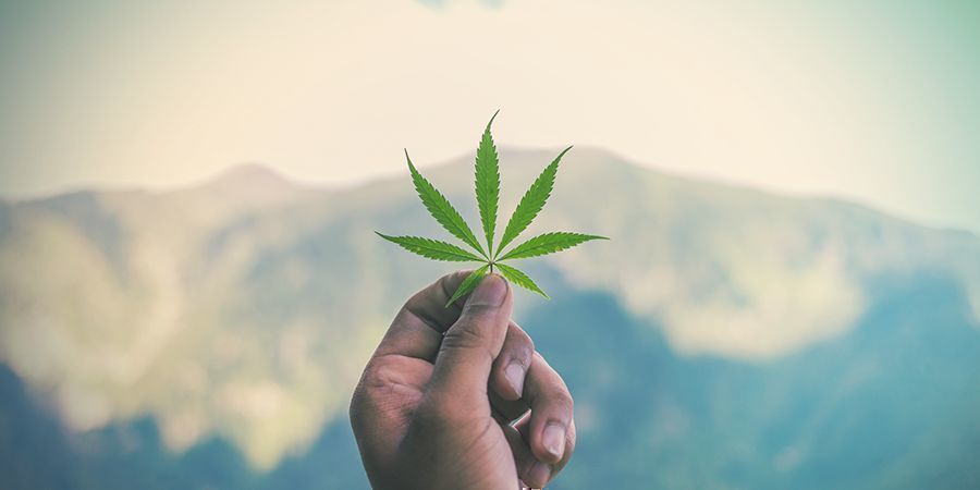 Kalini Asia, direkte fra Kush-bjergene Kalini Asia, direkte fra Kush-bjergene