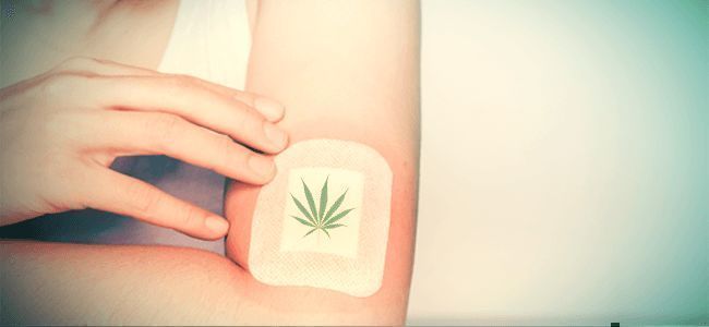 Cannabis topicals og kosmetik Cannabis topicals og kosmetik
