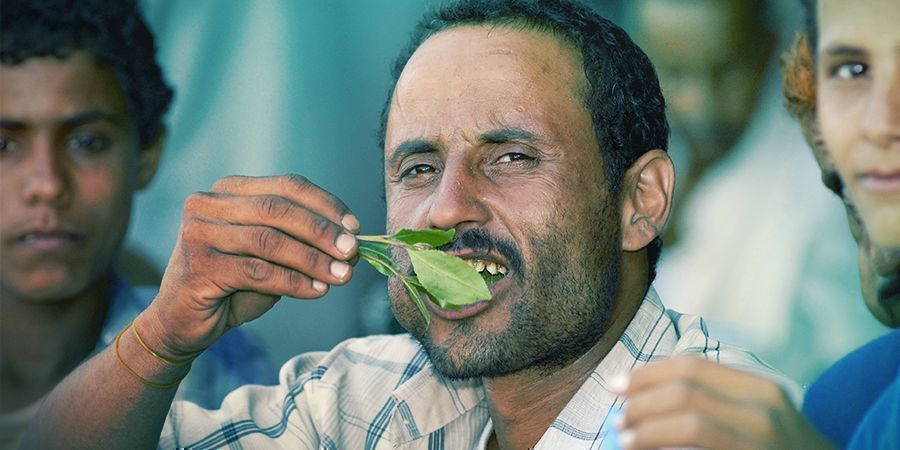 Sådan indtager du khat HOW TO TAKE KHAT