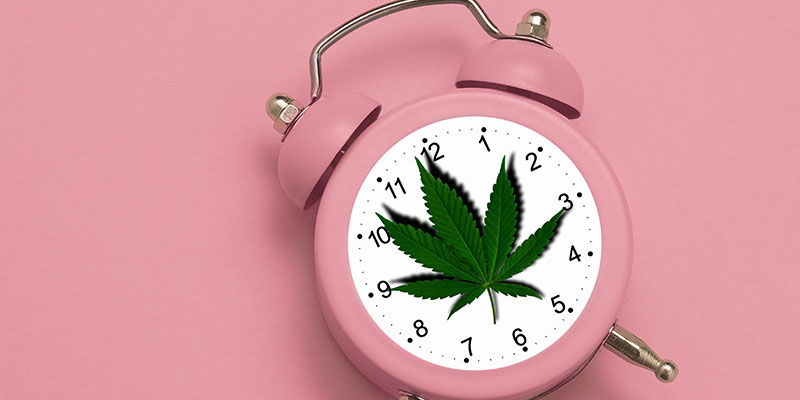 Hvor længe bliver THC-metabolitter i din krop? Hvor længe bliver THC-metabolitter i din krop?