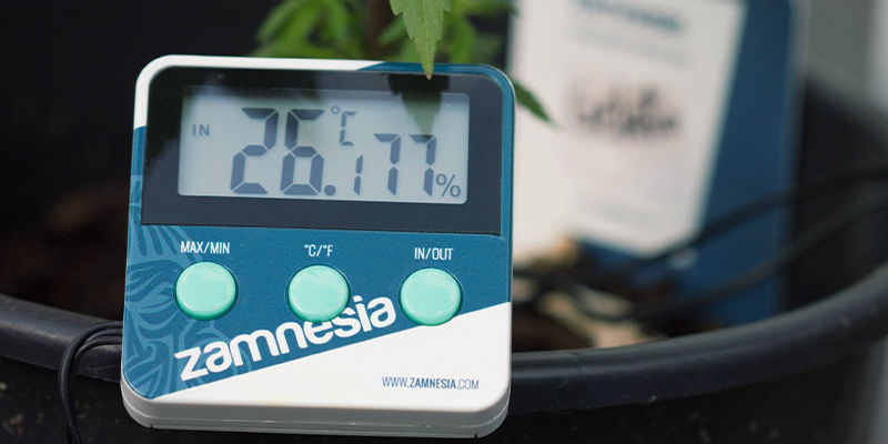 2–3 uger før høst 2–3 Weeks Before Harvest