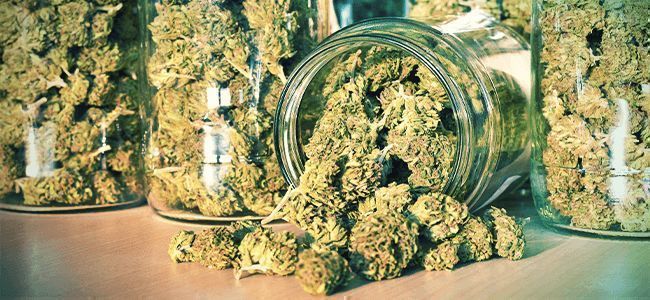 Rygerfejl: Opbevaring af cannabis