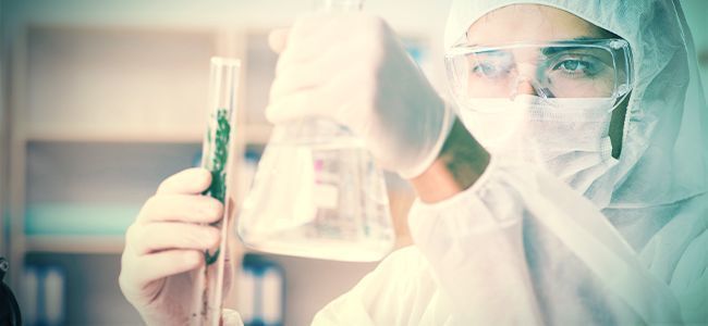 Lad professionelle stå for fremstilling af cannabisdestillat LEAVE CANNABIS DISTILLATE CREATION TO THE PROFESSIONALS
