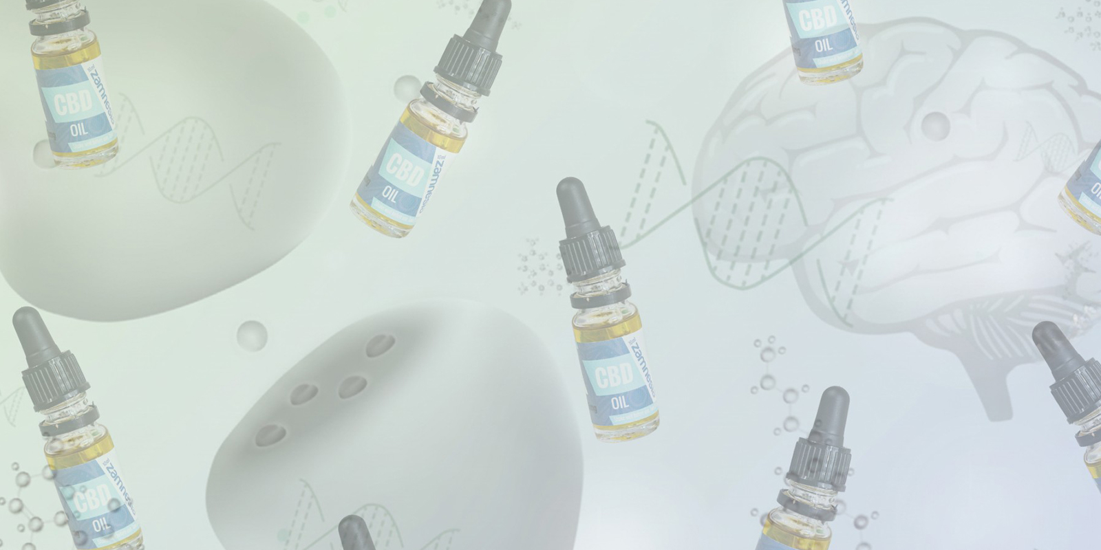 Hvordan virker CBD-olie i kroppen? Hvordan virker CBD-olie i kroppen?