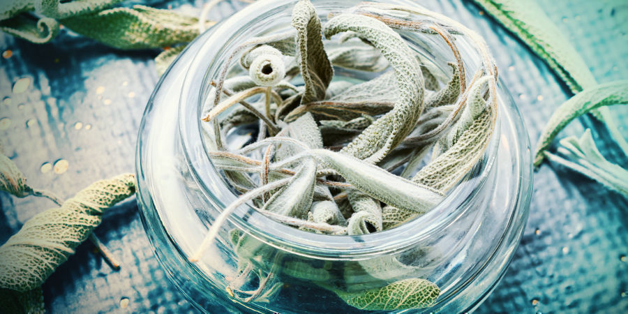 Hvordan virker salvia, og hvad er den korrekte dosering? Hvordan virker salvia, og hvad er den korrekte dosering?