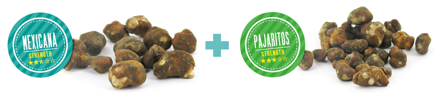 Hvad gør vores magiske trøffel “Dynamic Duo” særlig? WHAT MAKES OUR MAGIC TRUFFLE “DYNAMIC DUO” SPECIAL?