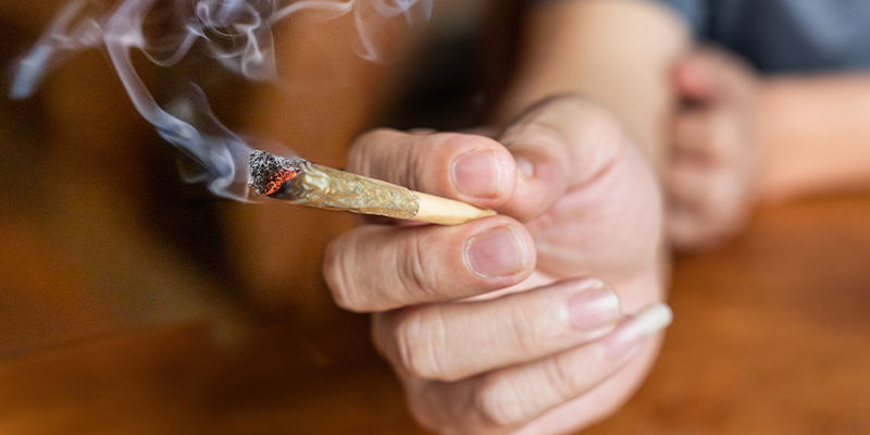 Forstå virkningerne af cannabis Forstå virkningerne af cannabis