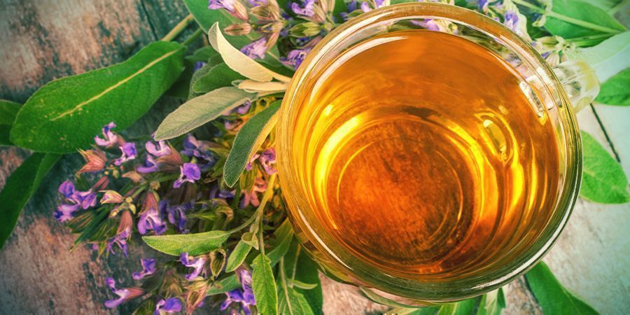 Indtagelse og oplevelse af Salvia Consumption And Experience Salvia