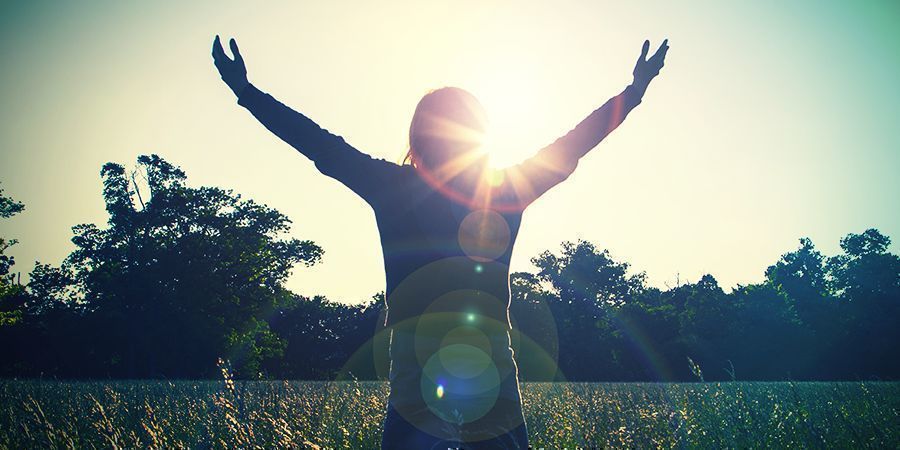 Farmakologiske effekter af salvia PHARMACOLOGICAL EFFECTS salvia