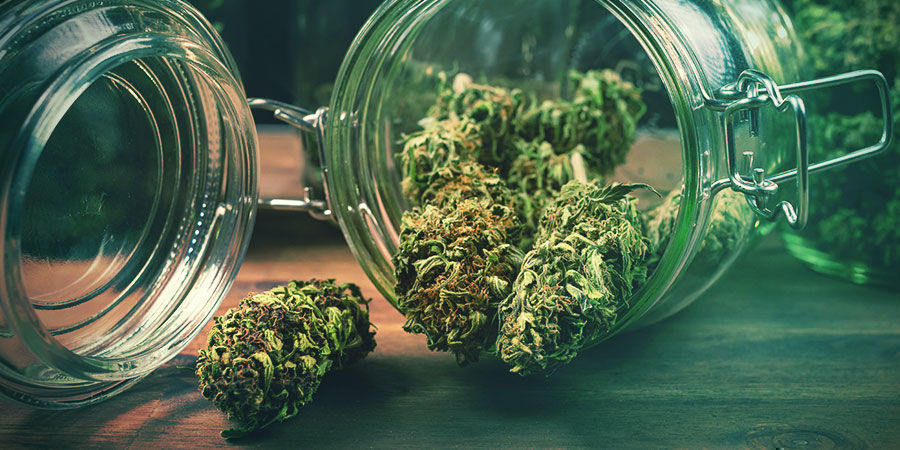 Hvordan skal jeg opbevare min cannabis?