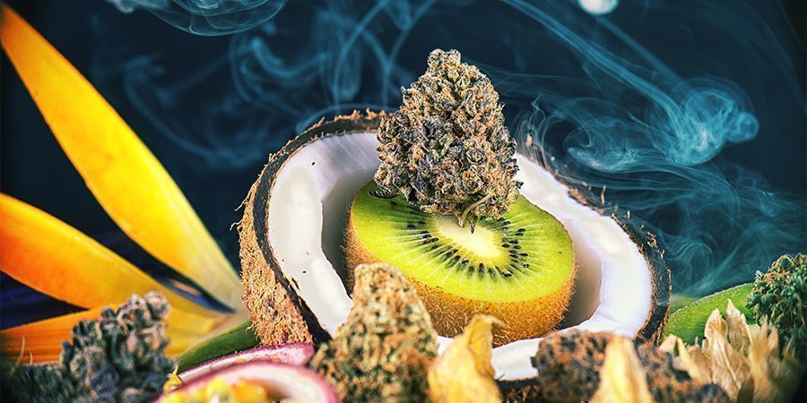 Smagfulde cannabissorter Smagfulde cannabissorter
