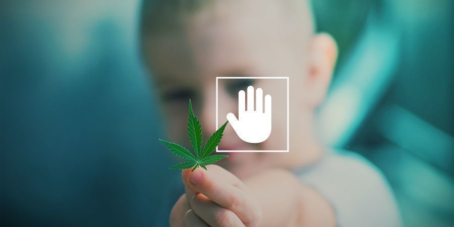 Indtag aldrig cannabis foran dine b&oslash;rn