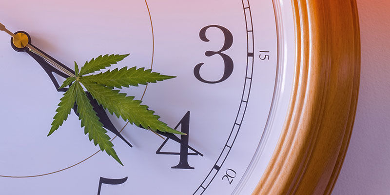 Indtag cannabis p&aring; forskellige tidspunkter